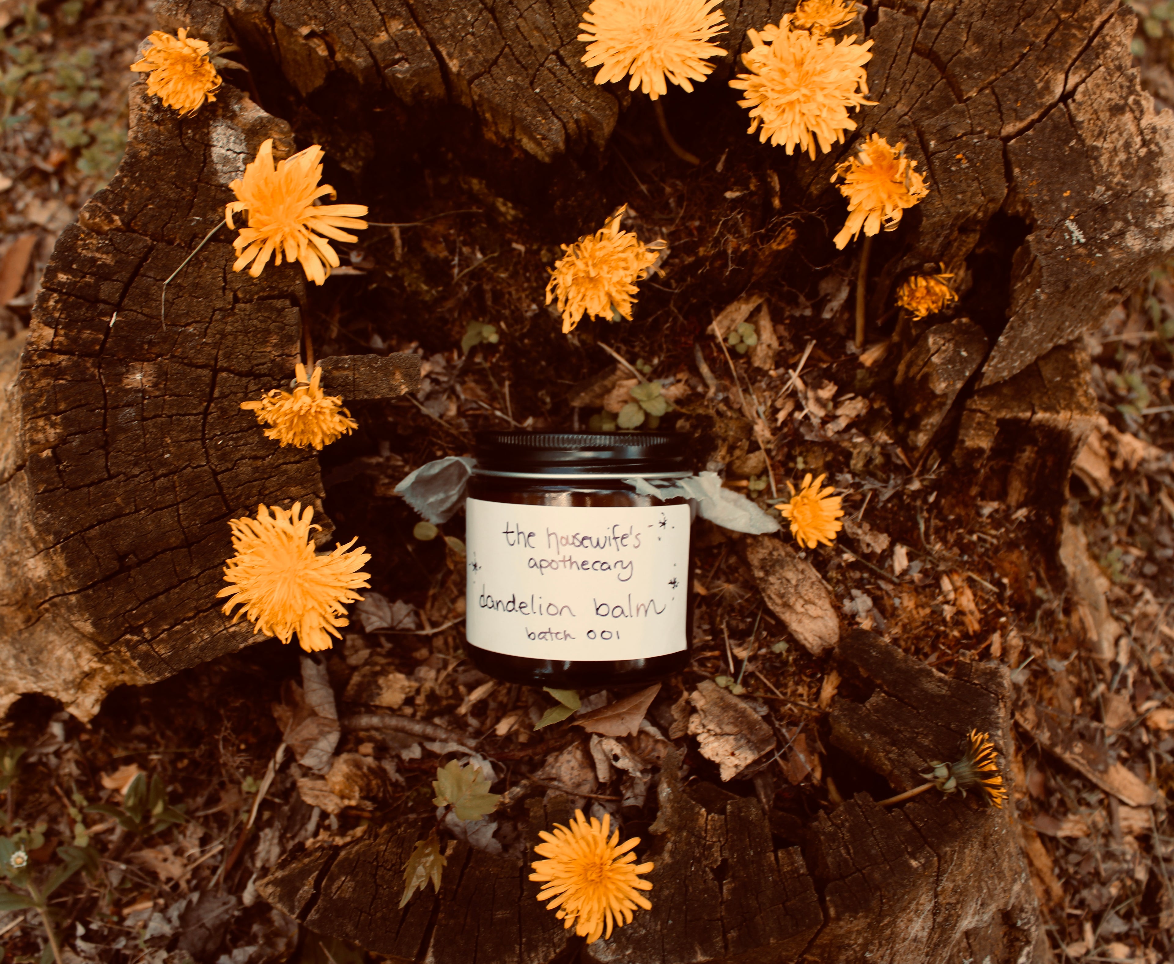 Handcrafted Dandelion Salve